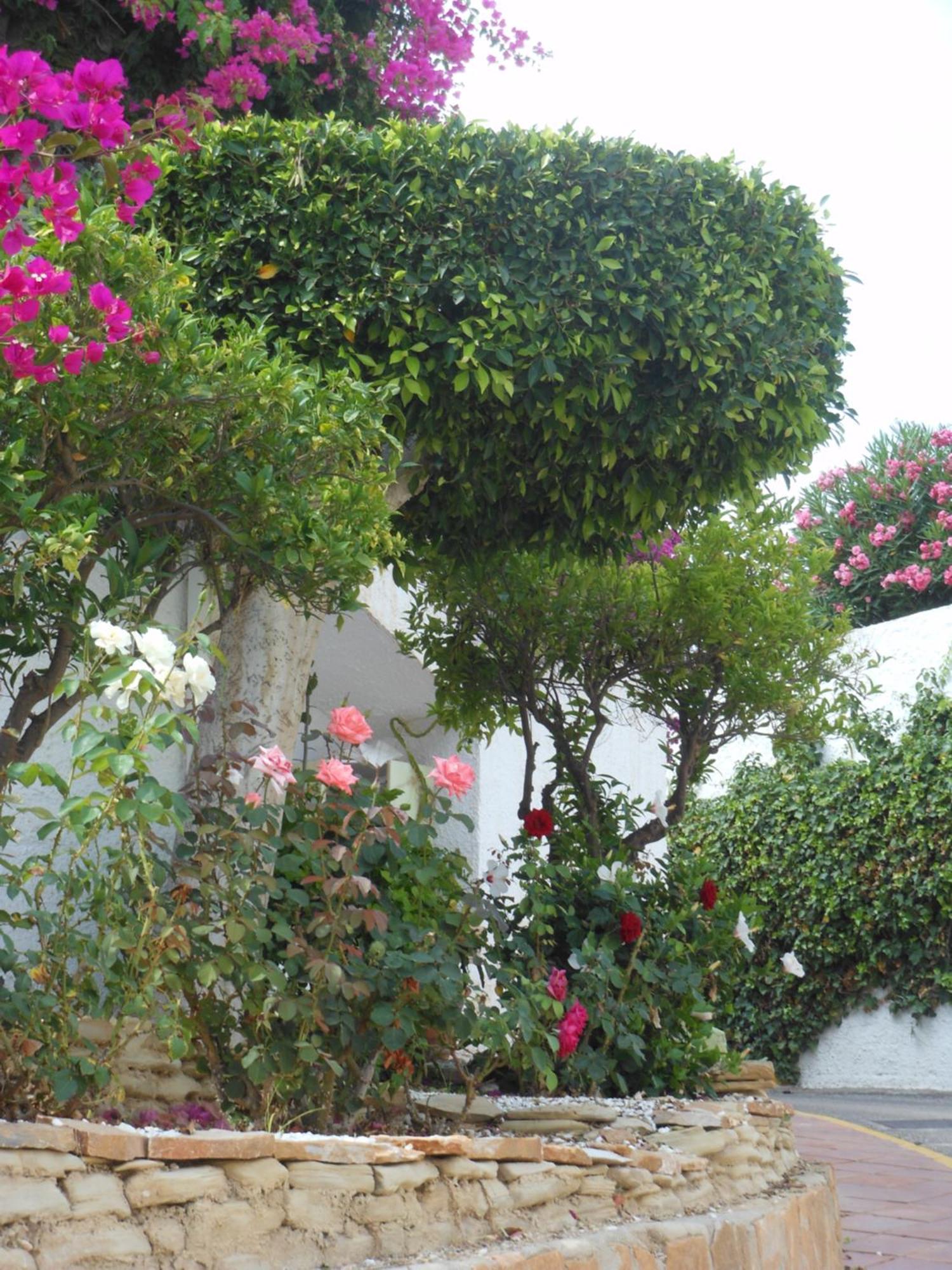 Las Palmeras Del Cantal Mojacar Bagian luar foto